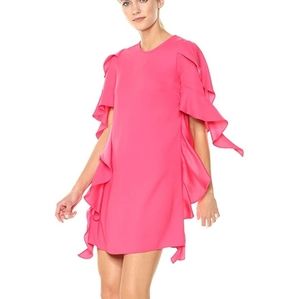 🔥SALE🔥 Nicole Miller Dress with Side Ruffles
